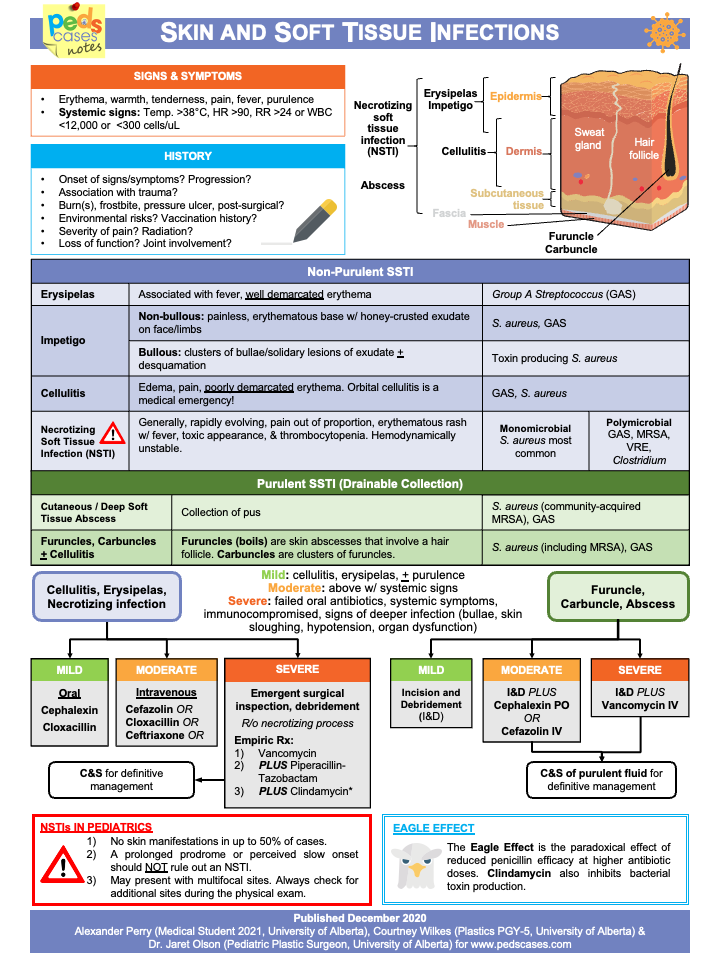 Skin And Soft Tissue Infections Pedscases